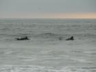 Dillon Beach