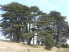 Dillon Beach