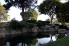 East Lake Village Pond
