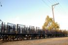 Carriages in Old Town Yorba Linda