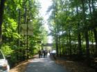 The wooded walk from the entrance of the Cary Amphitheatre to the seating area