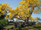 The colorful beauty of Pelican Bay