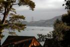 Tiburon