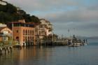 Tiburon