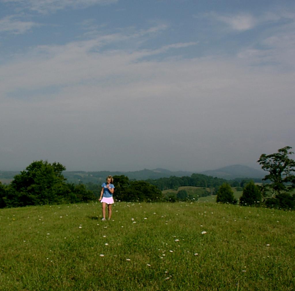 Mountain meadows