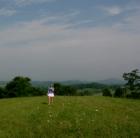 Mountain meadows