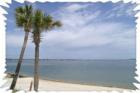 Santa Rosa Sound offers jet skiing, fishing and swimming.  Want to live where you vacation?  Start your property search online at:  www.surf4turf.net or call Liz Streed at 850-368-7735!