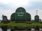 The Carolina Forest sign located at the intersection of Carolina Forest Blvd. and Hwy. 501  