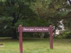 M-NCPPC Park Georgian Forest