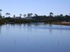 Lake inside Driftwood Estates - stocked with bream, bass, and catfish.