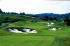Vista Links