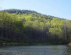 Pond
