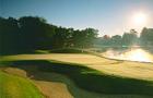 Did I say Golf?