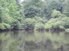 the lake