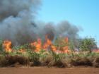Brush fire accross from the Waialua District Park