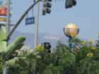 Hollywood Hills