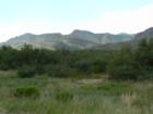 Sierra Vista Landscape