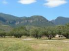 Sierra Vista Open Land