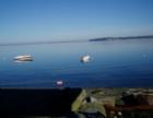 Birch Bay