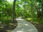Tree Lined Walking Trail through the Day Springs Nature Preserve