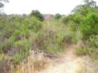 San Clemente Canyon Trail