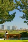 Newport Fashion Island