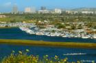 Newport Harbor