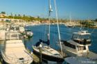 Newport Harbor