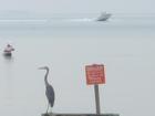 This was a fun shot catching 3 activities at once--bird watching, wade fishing and boating.
