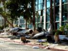 Furniture being tossed out of the windows at the New Frontier Hotel in Las Vegas.  The hotel is scheduled for implosion in November.  Picture taken August 2007