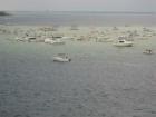 Crab Island on a dreary day from the Destin Bridge