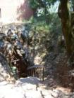 The entrance to the Black Chasm Cave system. This is a great  cave tour that takes 45-50 minutes, a nice side trip on a wine tasting tour of Amador County. The cave is just outside of Volcano, towards Pine Grove.