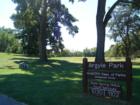 View of Bicentenial Black Gum Tree & Tree Marker in Argyle Park, Silver Spring, MD 20901