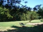View of Grounds along Rock Creek Park - Meadowbrook Stables 