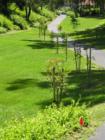 Lake Forest Green Belt