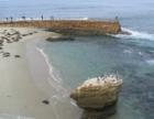 Seal Beach Rock