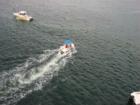 Congestion at Crab Island