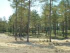 The Parks Play Area
