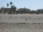 Oxnard Beach fun