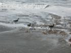 Oxnard Beach fun