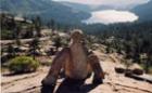 Rock art overlooking Donner Lake. 
      (c) Tamara Perlman