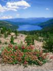 Image of Donner Lake from above the West End.
      (c) Tamara Perlman