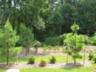 Park setting in the city.