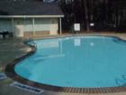 Oak Park West community pool.