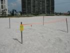 Clearwater Beach is a protected space for Sea Turtle Nests - watch for these marked spaces and don't disturb them. 