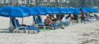 Sand Key Beach a great place to enjoy yourself and relax  