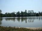 The Lake at Woodlake