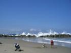 Venice beach