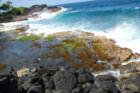 Hawaiian Paradise Park is about 12SQ Miles in size.  This is just the SE corner off of Ala Heiau.  It approx location is:
      Latitude:  19deg 35' 37.2" N
      Longitude: 154deg 55' 51.4"W