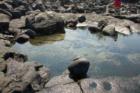 Hawaiian Paradise Park has quiet tide pools.